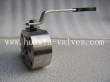 forged Wafer type Ball Valve