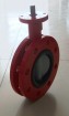 Butterfly Valve 