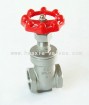 FULL BORE 200PSI STAINLESS STEEL GATE VALVE